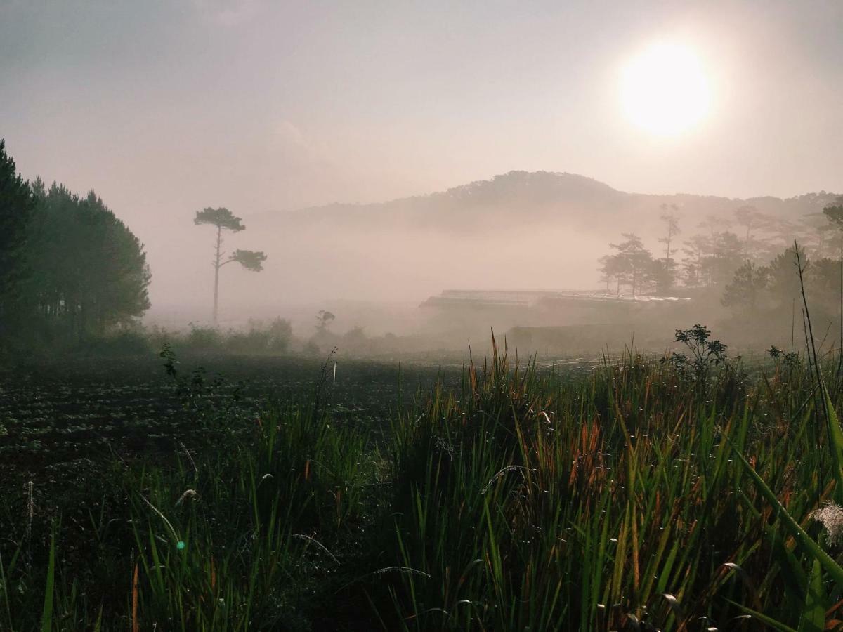 Kim Ngan Hills Eco-Resort Đà Lạt Phòng bức ảnh
